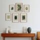 Collection de 6 peintures abstraites sur papier col. vert sauge signée Eawy