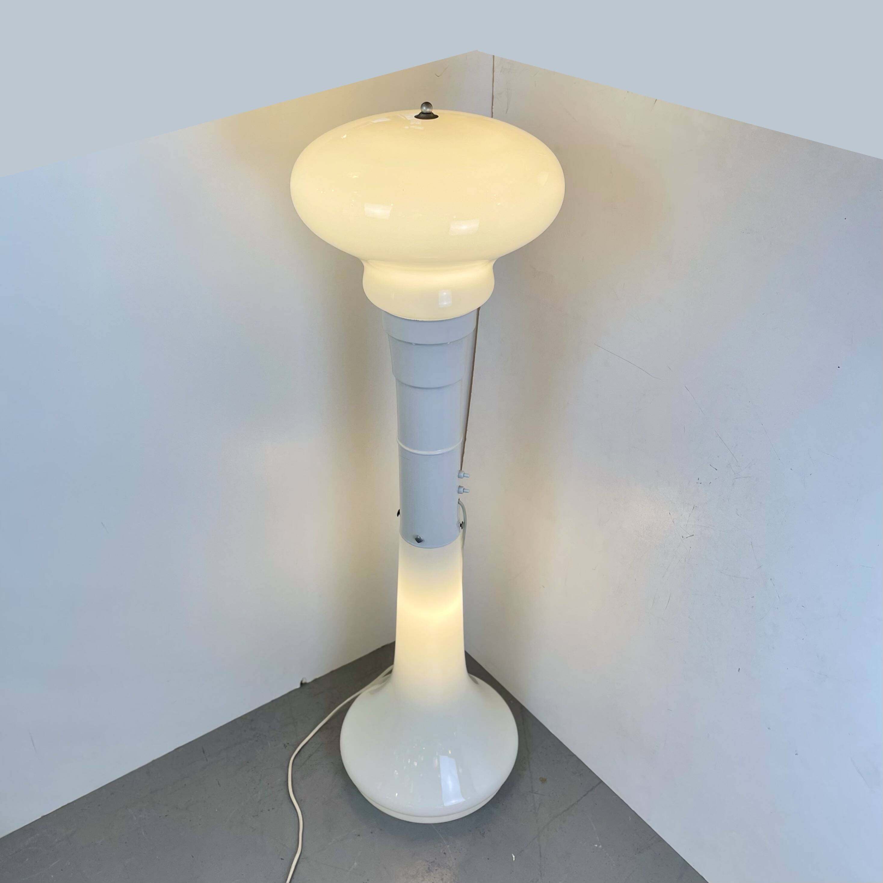 Birillo Murano Floor Lamp in the style of Calo Nason for Mazzega, 1970s