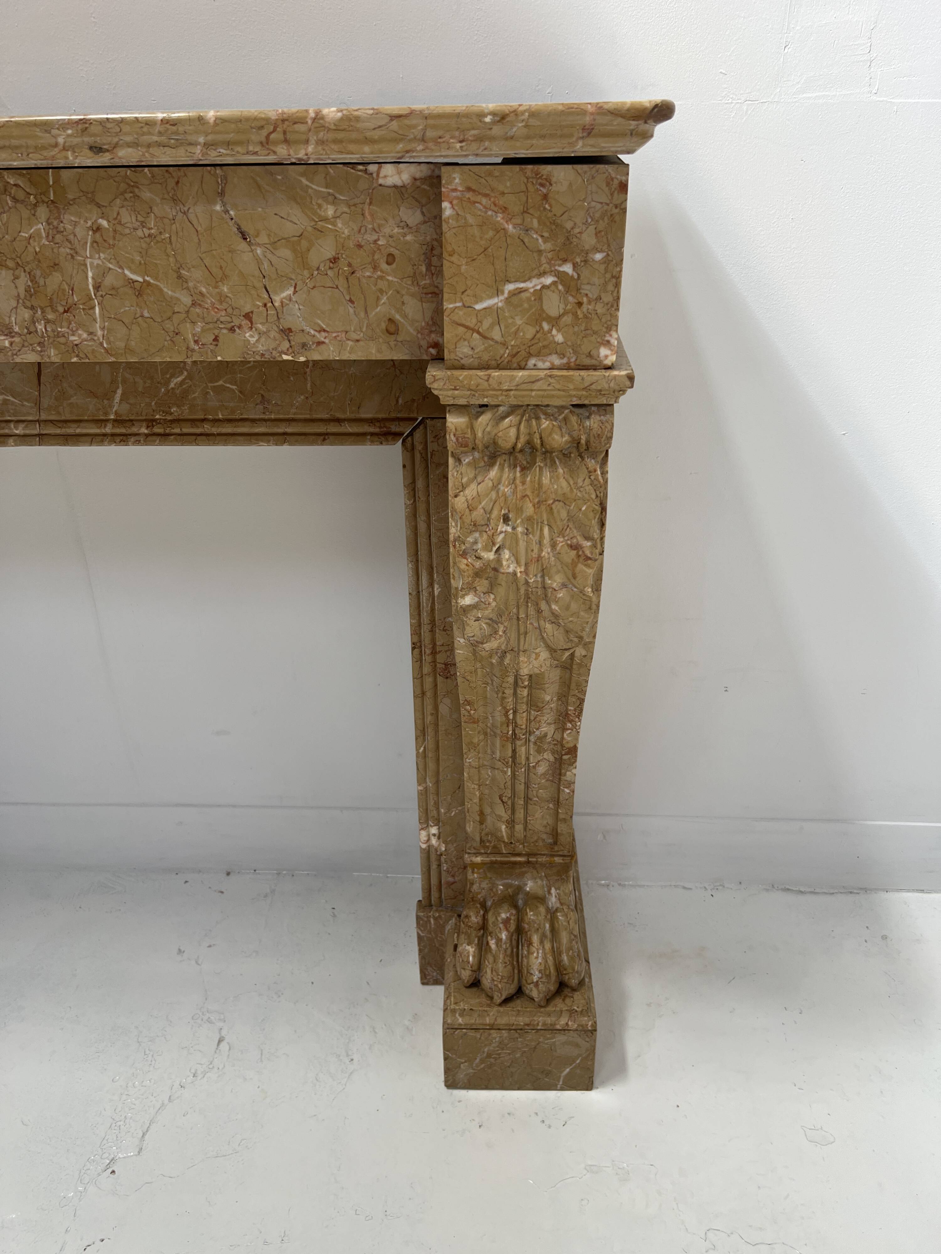 Napoleon III fireplace with claw feet in speckled marble, 19th century.