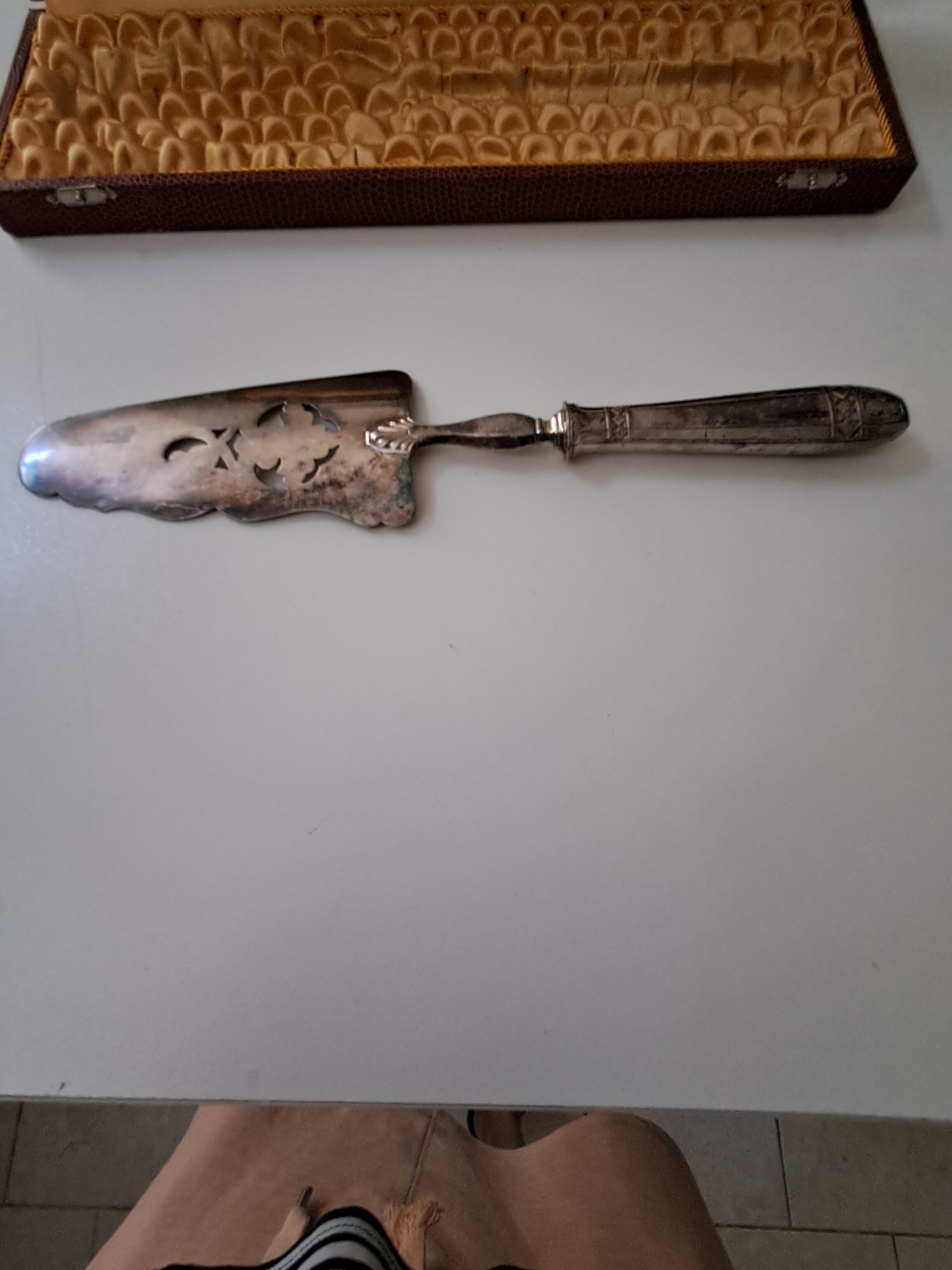 Silver Spatula