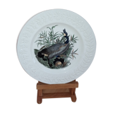 Decorative Plate