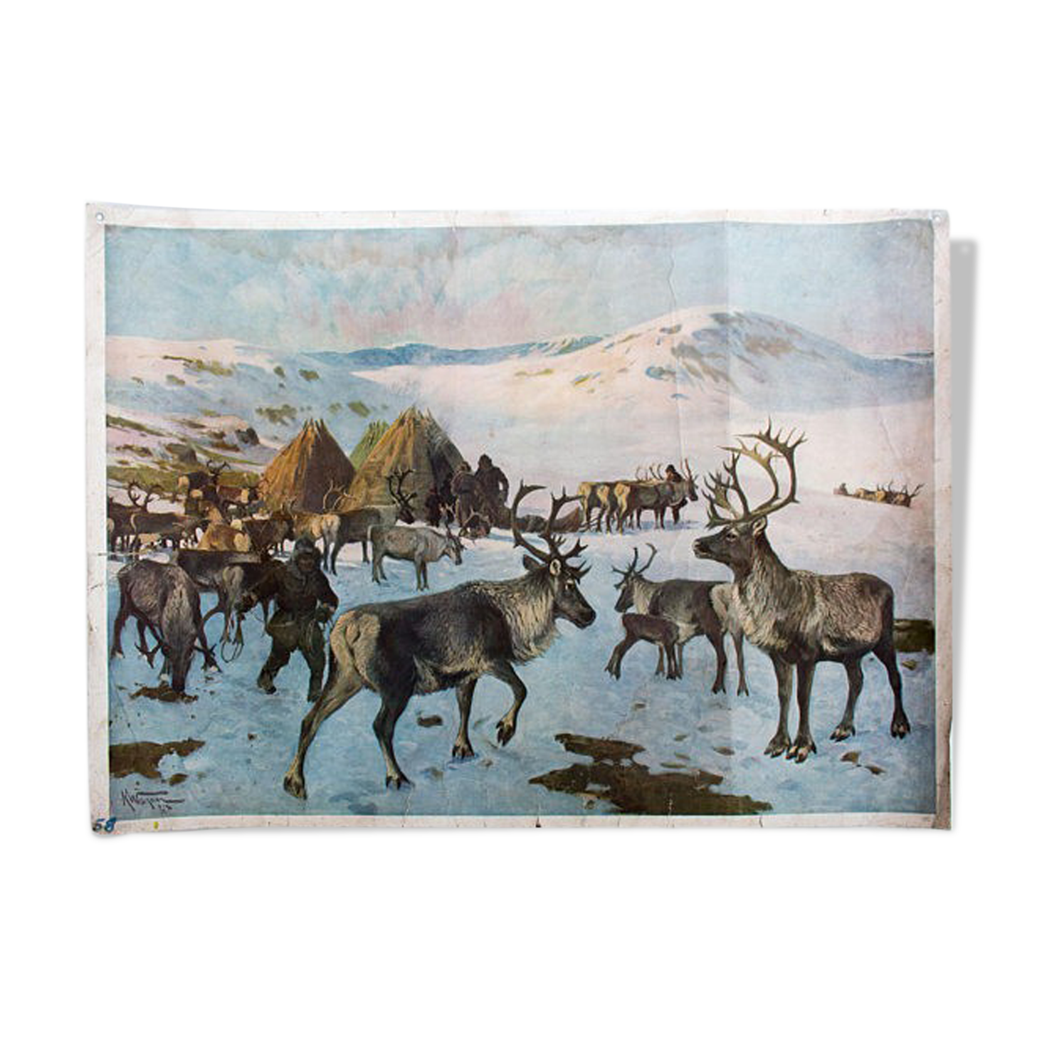 Reindeer, Educational Grid, A. Wagner, 1923