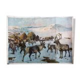 Reindeer, Educational Grid, A. Wagner, 1923