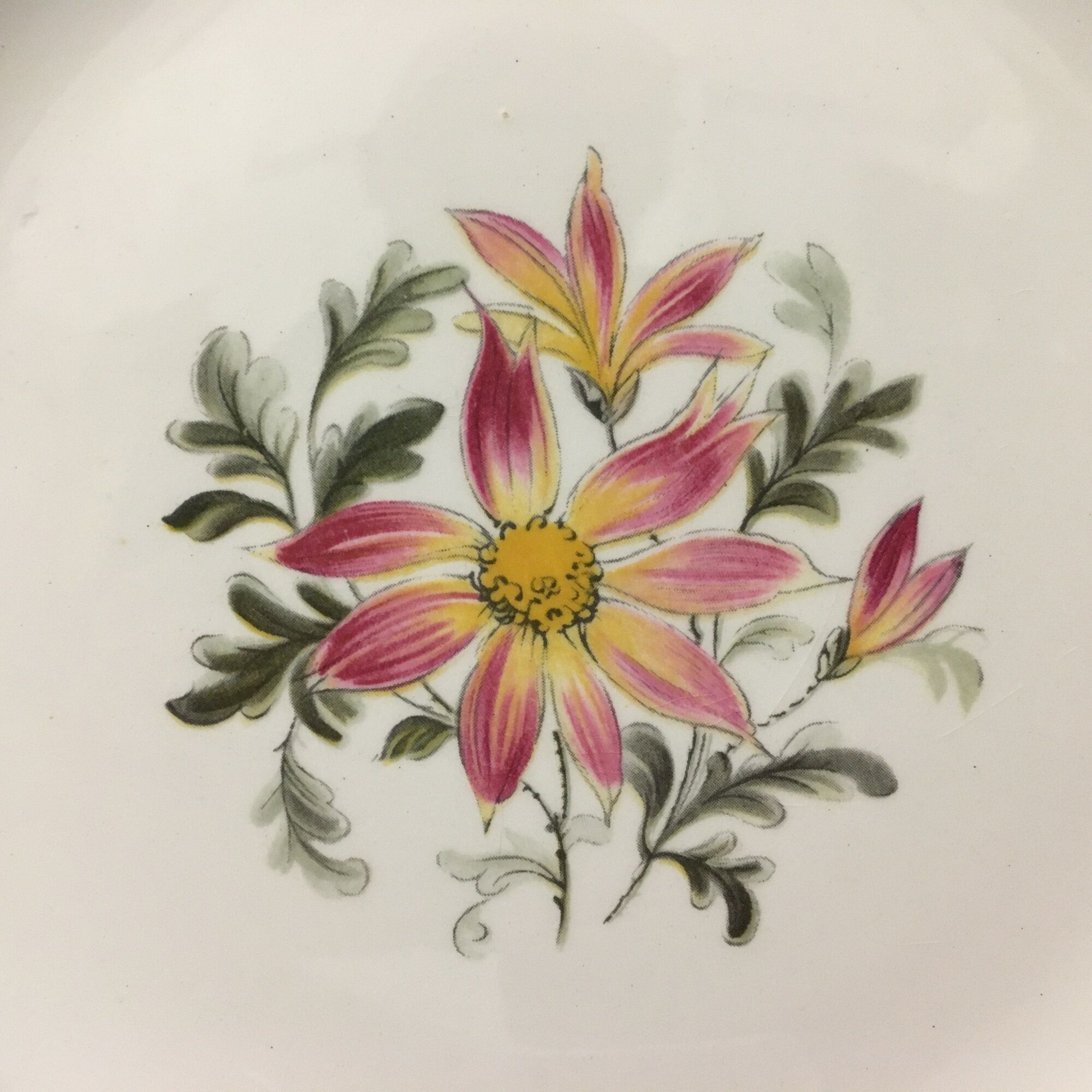 Set of 6 Dessert Plates "L'Amandinoise", model "Clématite"