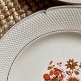 Set of 4 plates faience of Salins, Malmaison model