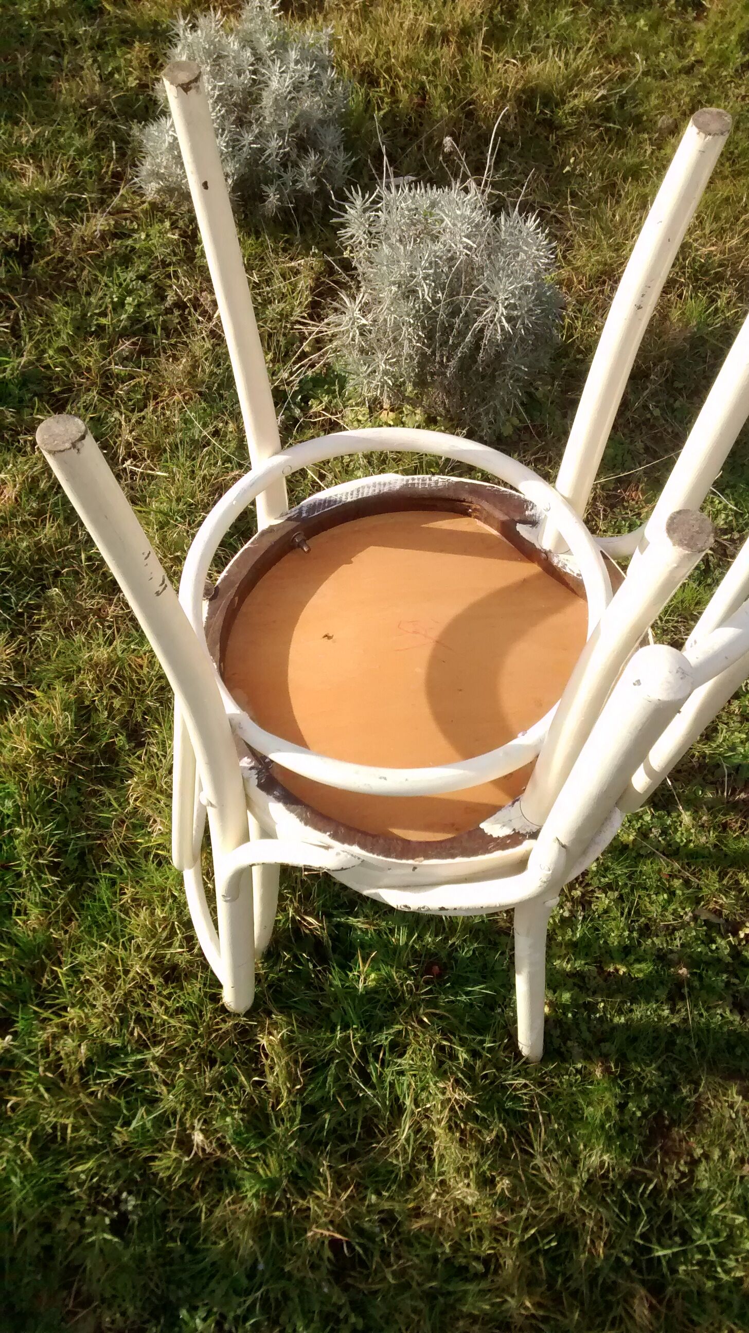 Pair of bistro chairs