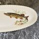 Fish dish Luneville Badonviller