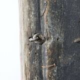 Fenêtre en bois peinte