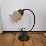 Swan neck table lamp