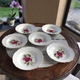 Series of 6 hollow plates porcelain of Gien model Chambord