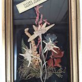 Herbarium frame under vintage glass