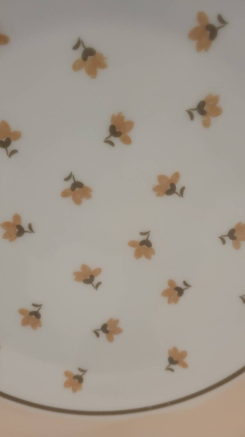 Limoges porcelain dish