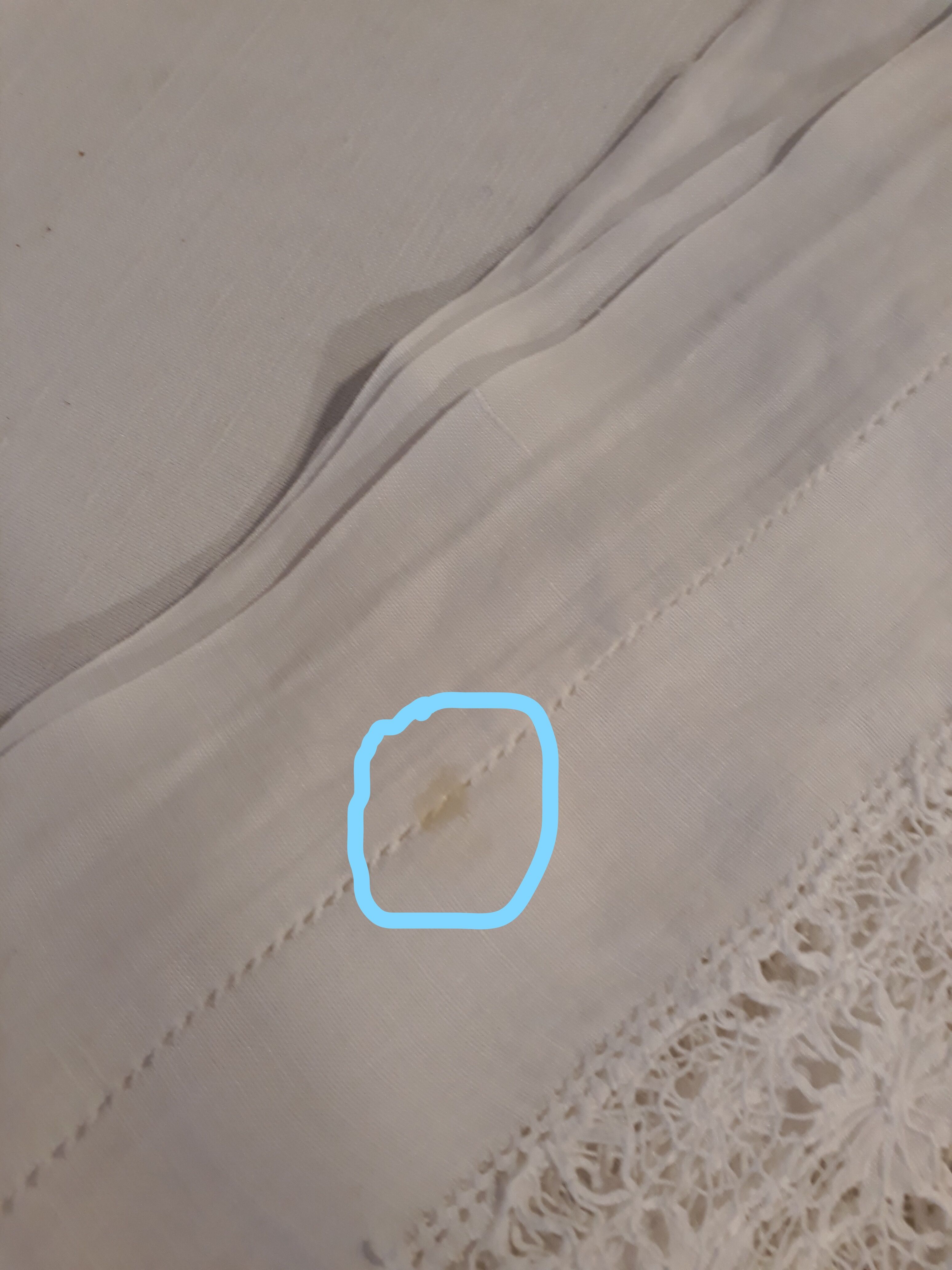 Embroidered centerpiece