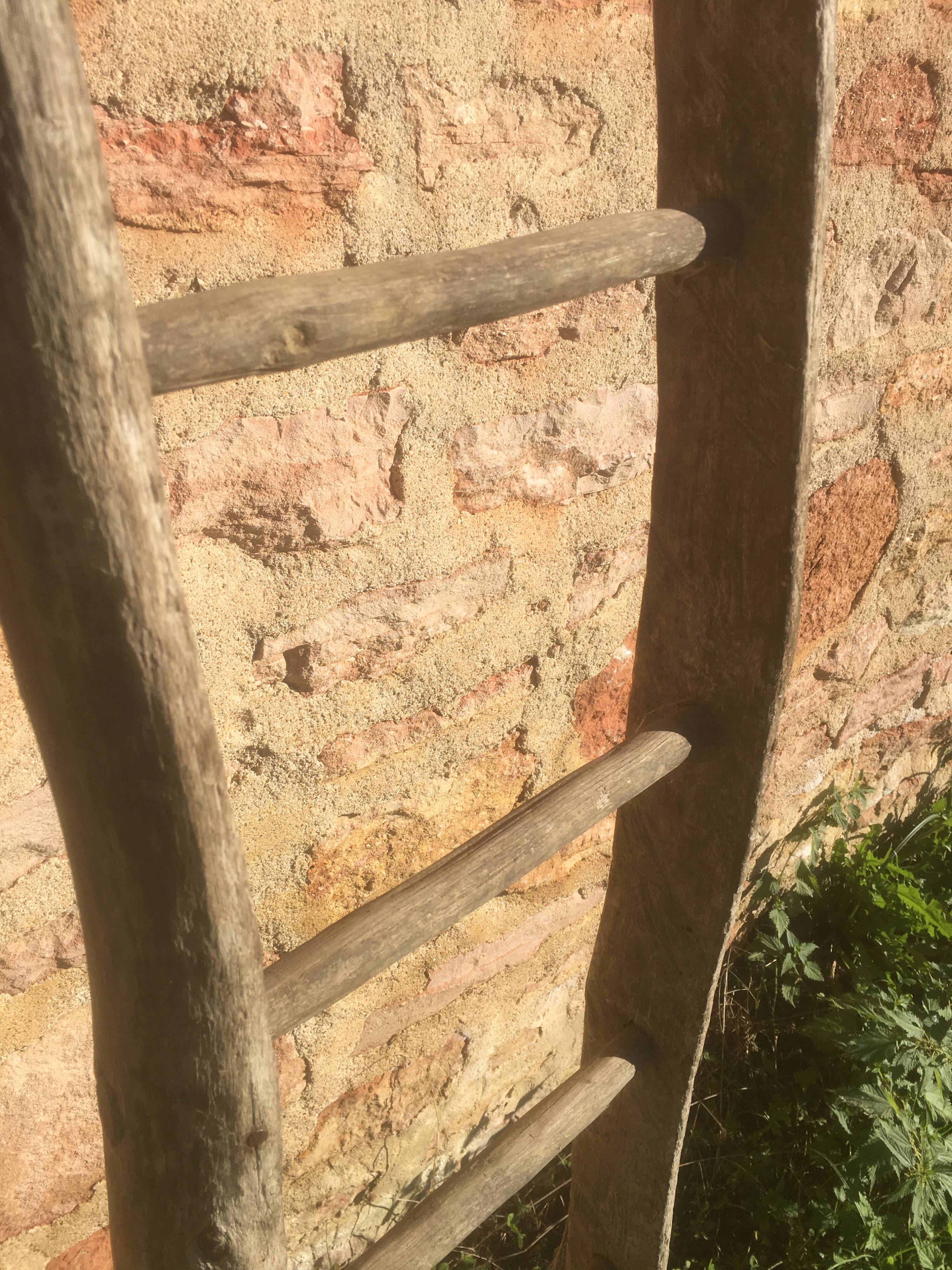 Acacia farm ladder 3/40s