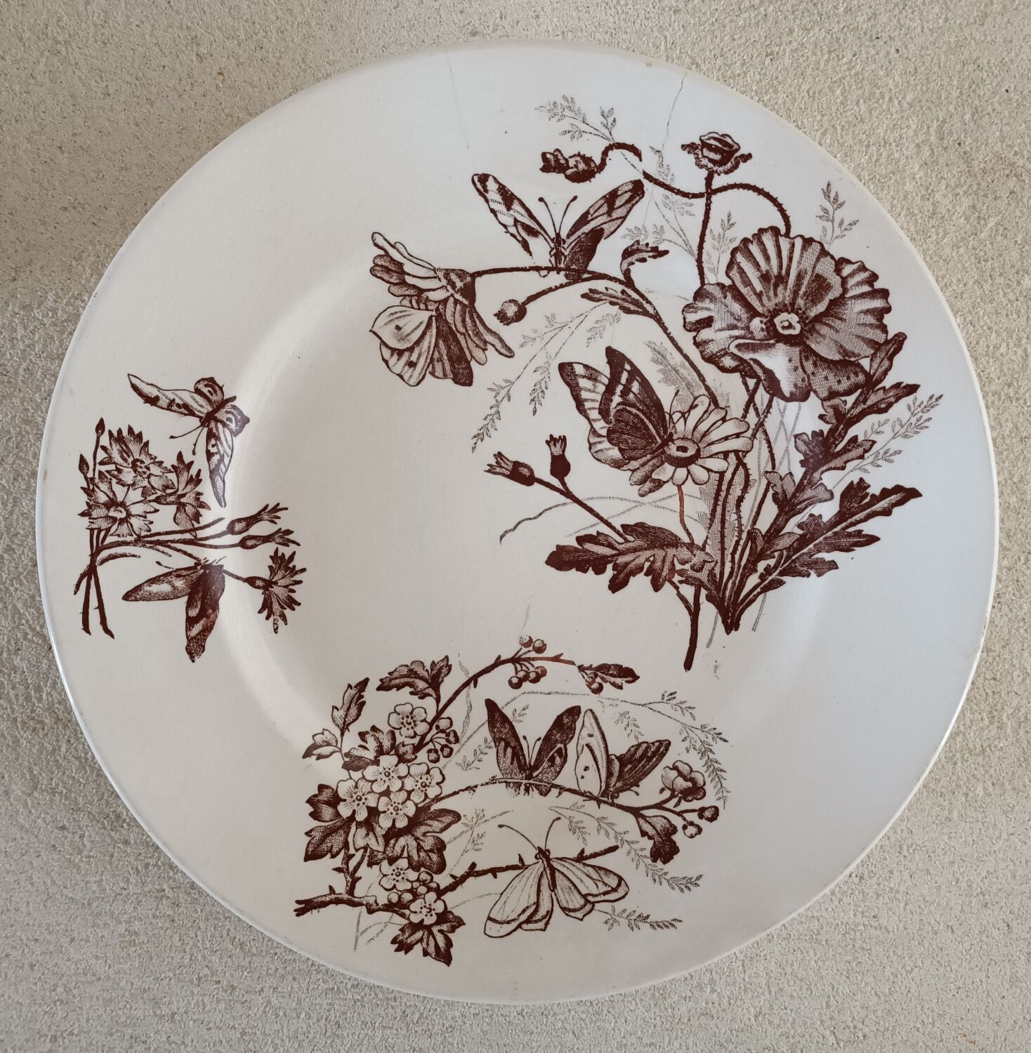 2 plates earth of iron E. Bourgeois and Salins