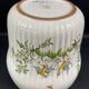 Moustiers earthenware flowerpot