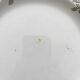 6 mismatched Saint Amand ironware dessert plates