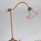 Tulip lamp