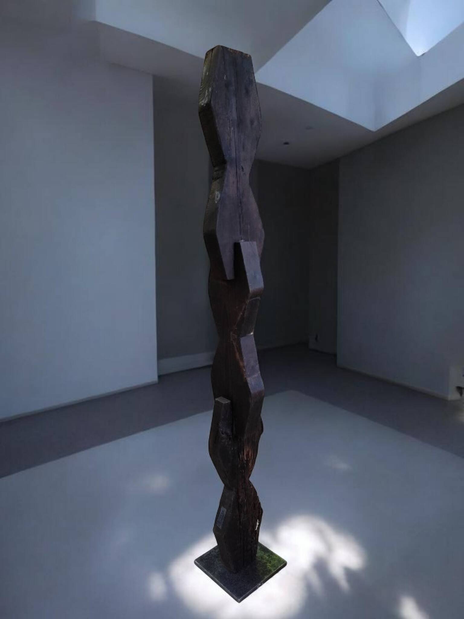 Totem "Axono"