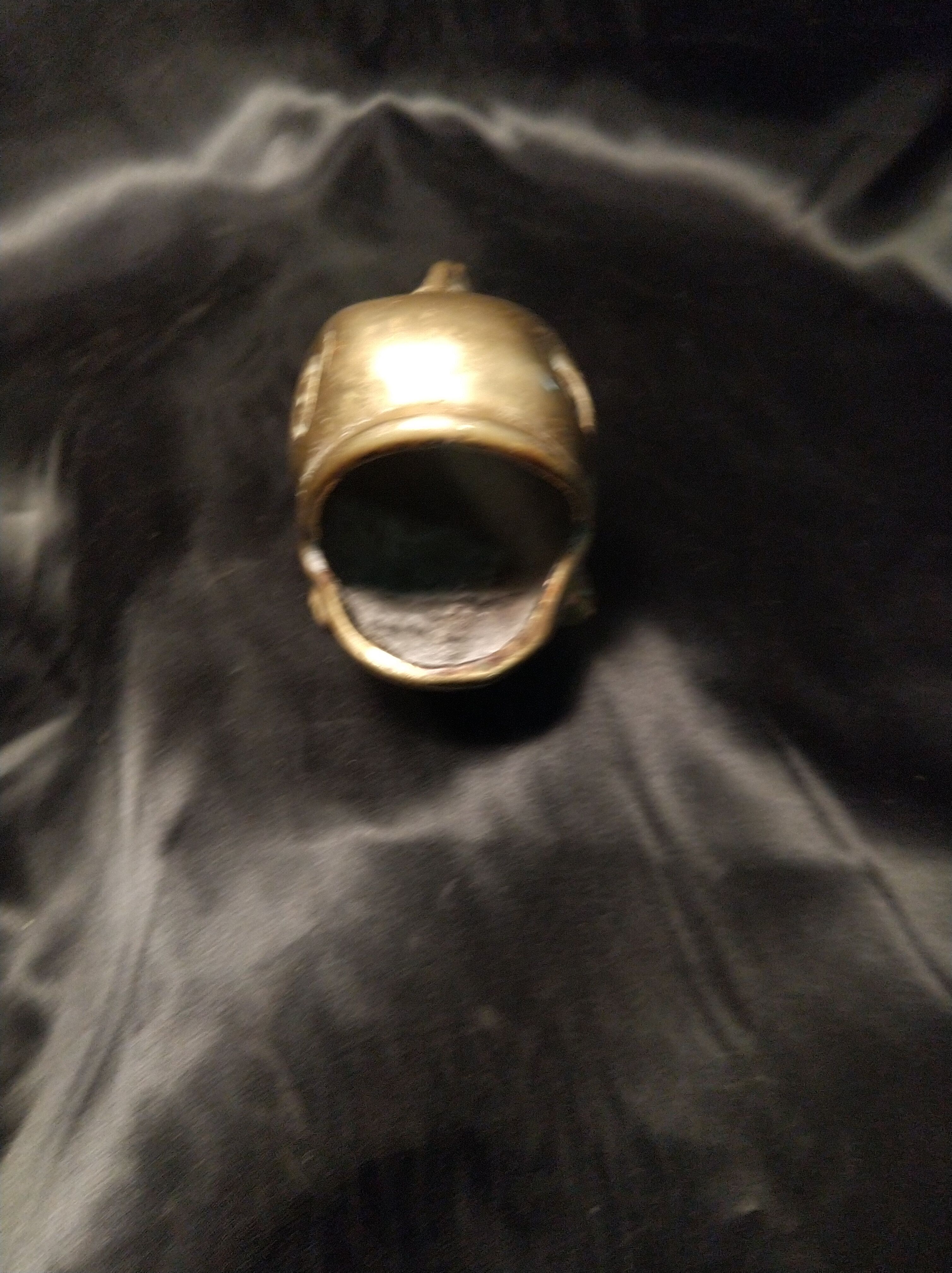 Empty pocket fish in gilded bronze