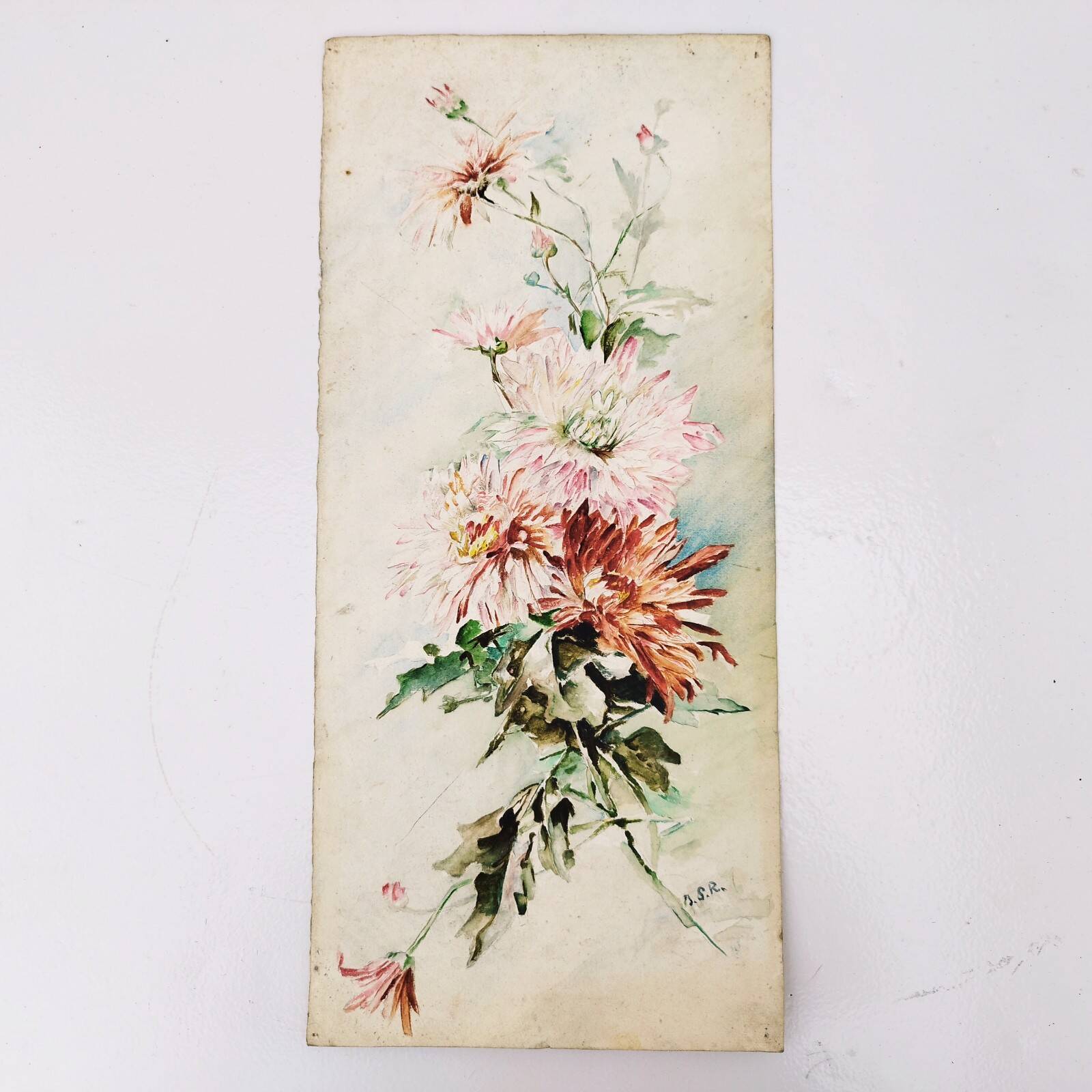 Watercolor bouquet of iris signed vintage