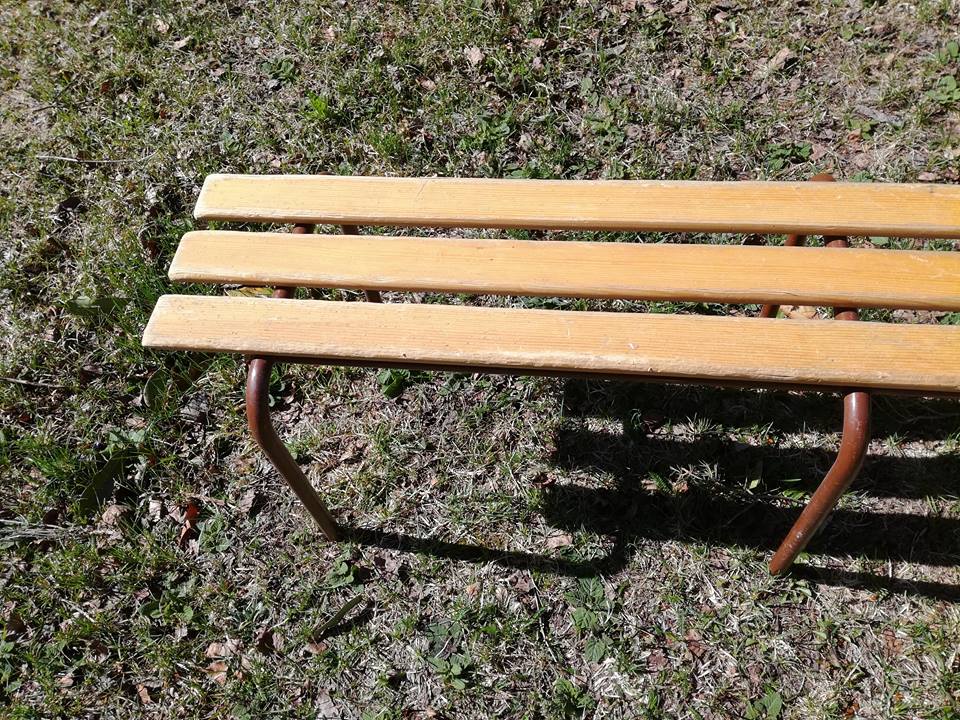 Bench of schoolchildren