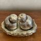 Salt pepper birds in their nest