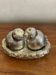 Salt pepper birds in their nest