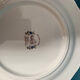 Assiette porcelaine de gien moustier olerys 25 Cm diamètre neuf