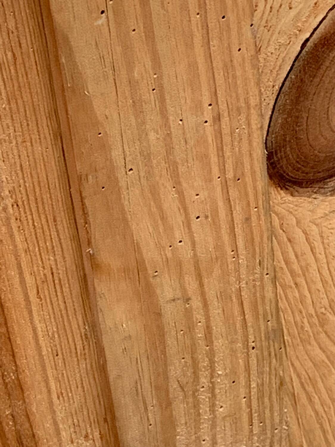 Buffet René Gabriel pieds compas 1945/50