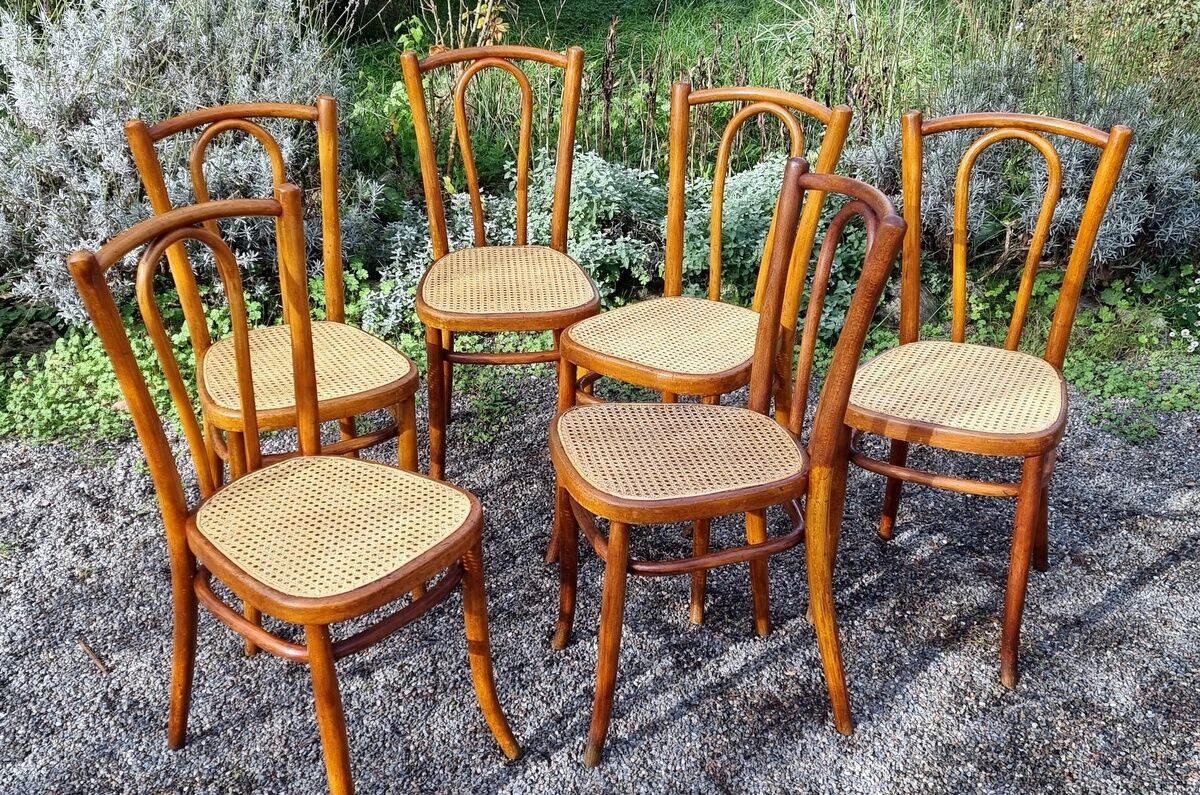 6 chaises Baumann n°42 1/2 années 20