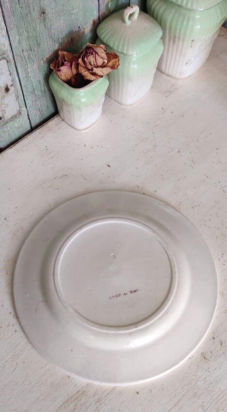 Flat plate iron earth / Christmas rose