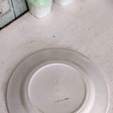 Flat plate iron earth / Christmas rose