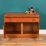 Retro Teak 1960s Jentique Mid Century Sideboard Cabinet