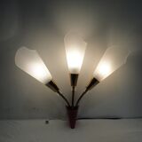 Rare vintage applique 3 flexible lights