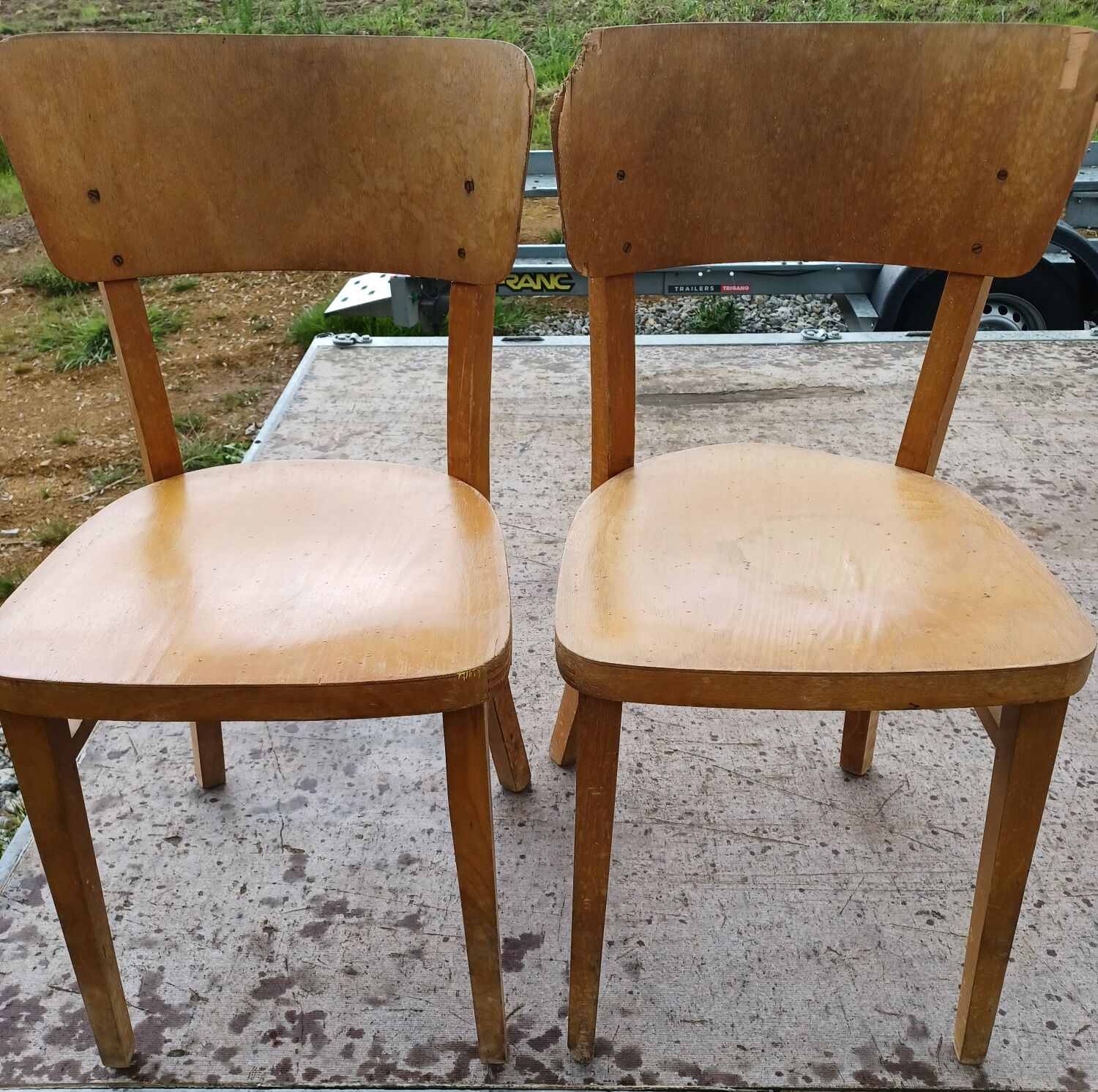 Thonet chairs 1950/1960