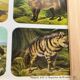 Affiche animalière ancienne