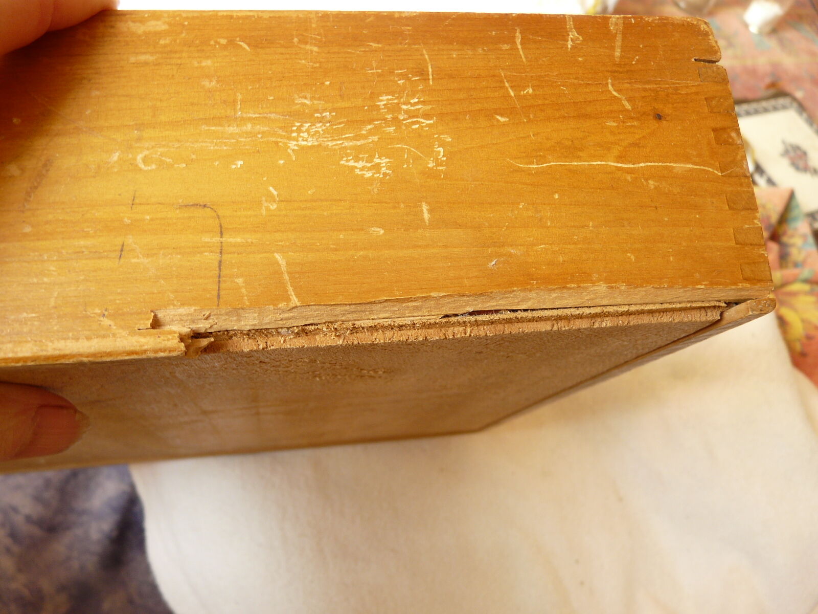 Late yellow dwarf game XlXeme, early XXeme