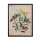 Illustration vintage animal engraving 1850