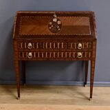 Rosewood and Mahogany Sloping Desk, Louis XVI Style – Mid-19th Century