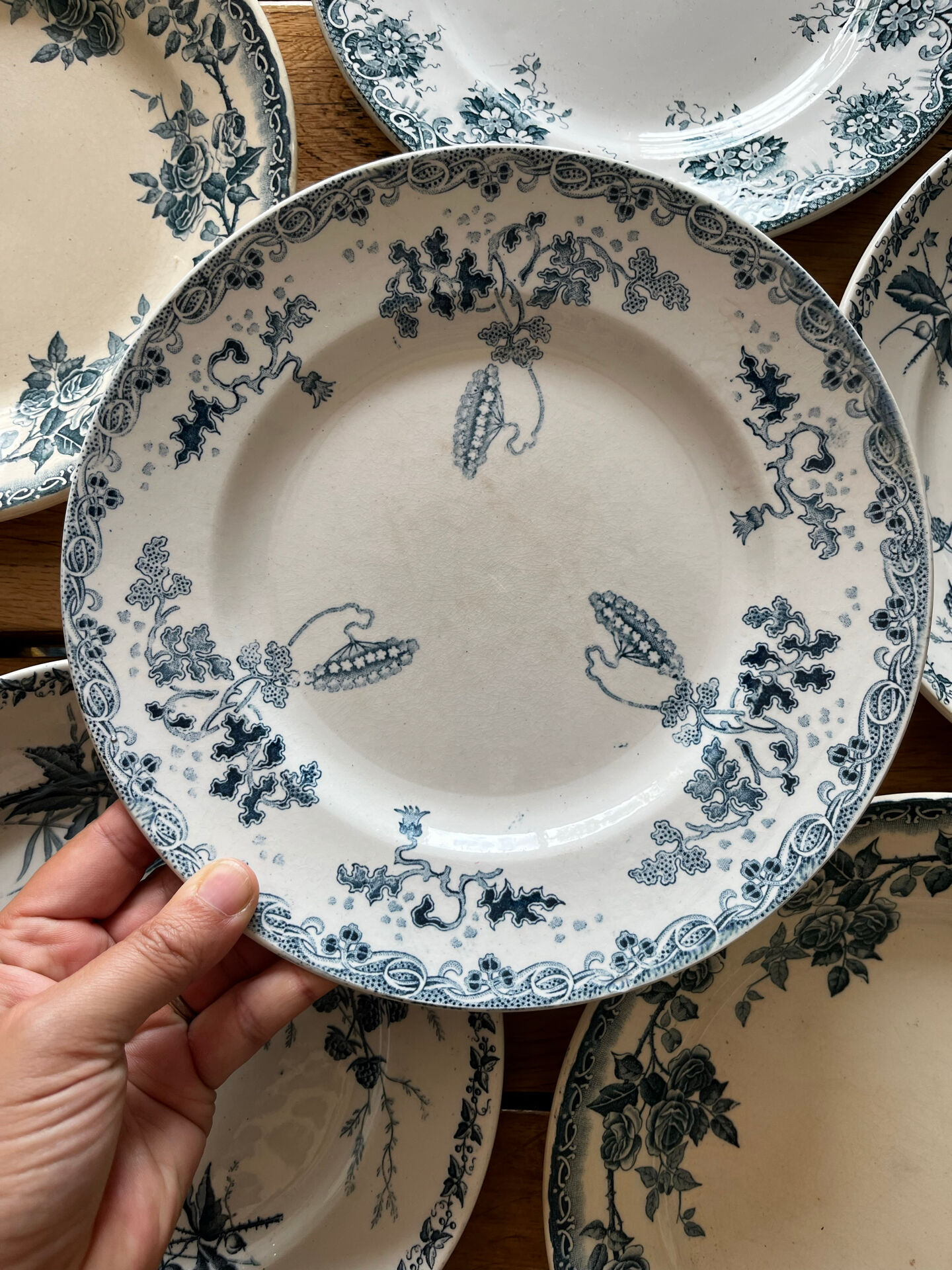 6 assiettes terre de fer