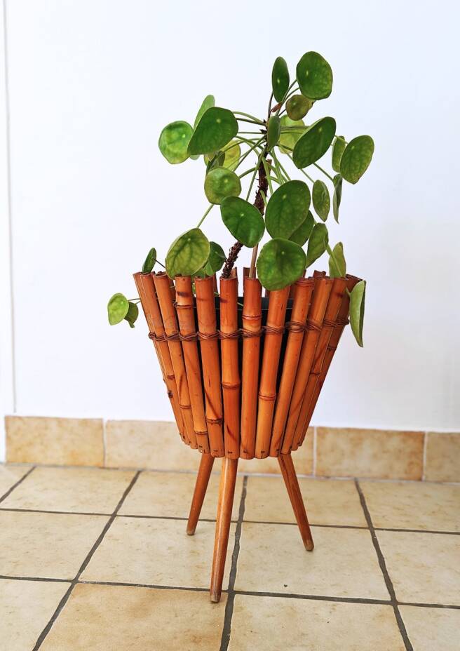 Bamboo Cache Pot on Vintage Stand