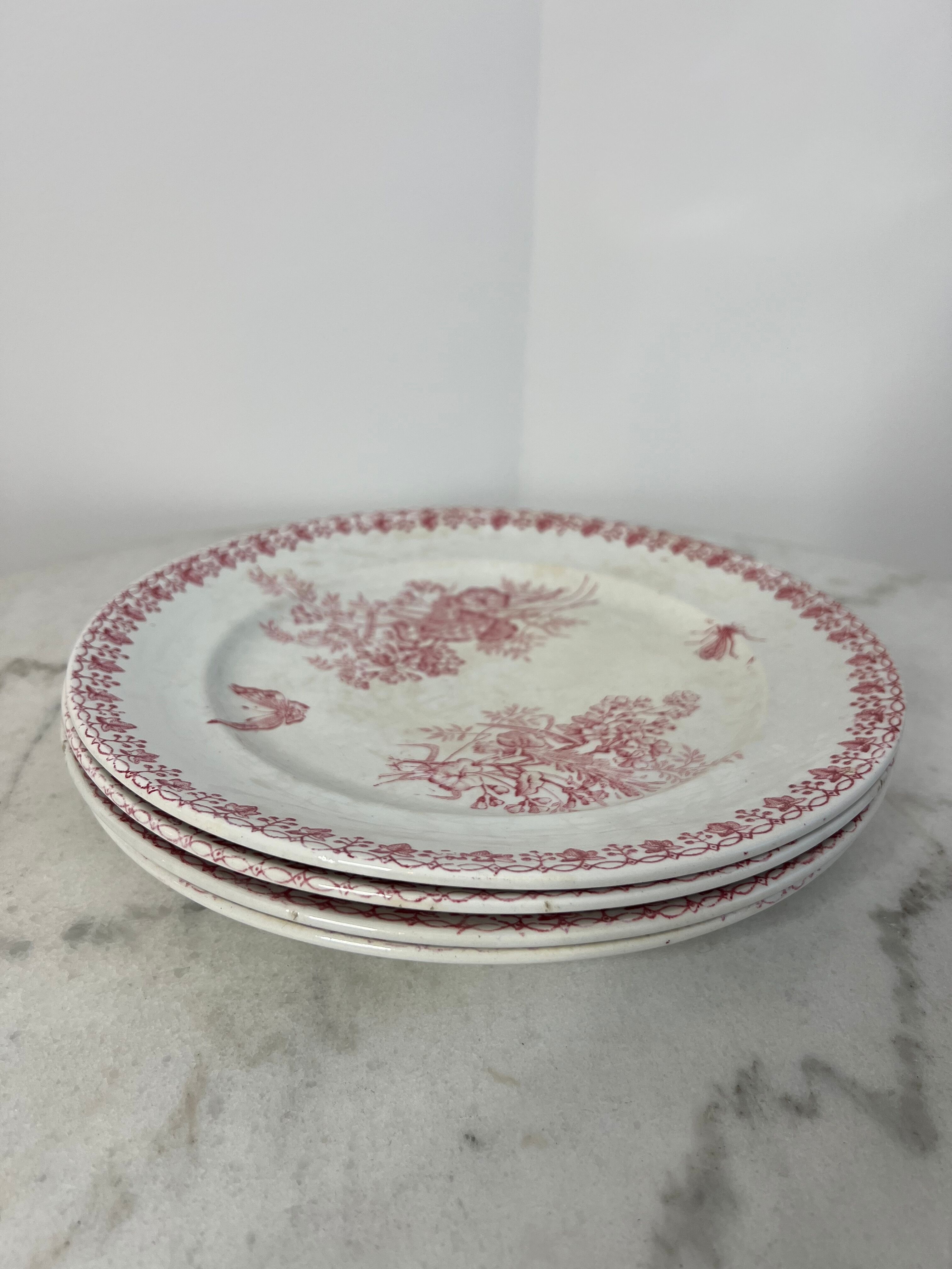Lot de 4 assiettes plates Onnaing Moisson