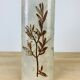 Herbarium vase by Raymonde Leduc in Vallauris 25 cm