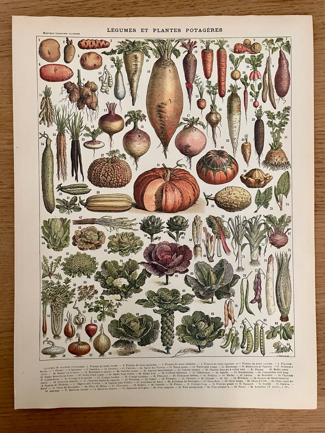 Réserve Audrey - Lot de 6 lithos XXe