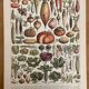 Réserve Audrey - Lot de 6 lithos XXe