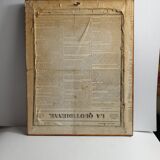 Pedagogical engraving of birds