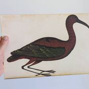 Paire de reproductions du Codex Pomar d'Histoire Naturelle, Valence, 1990