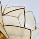 Vintage mother-of-pearl and brass flower wall light