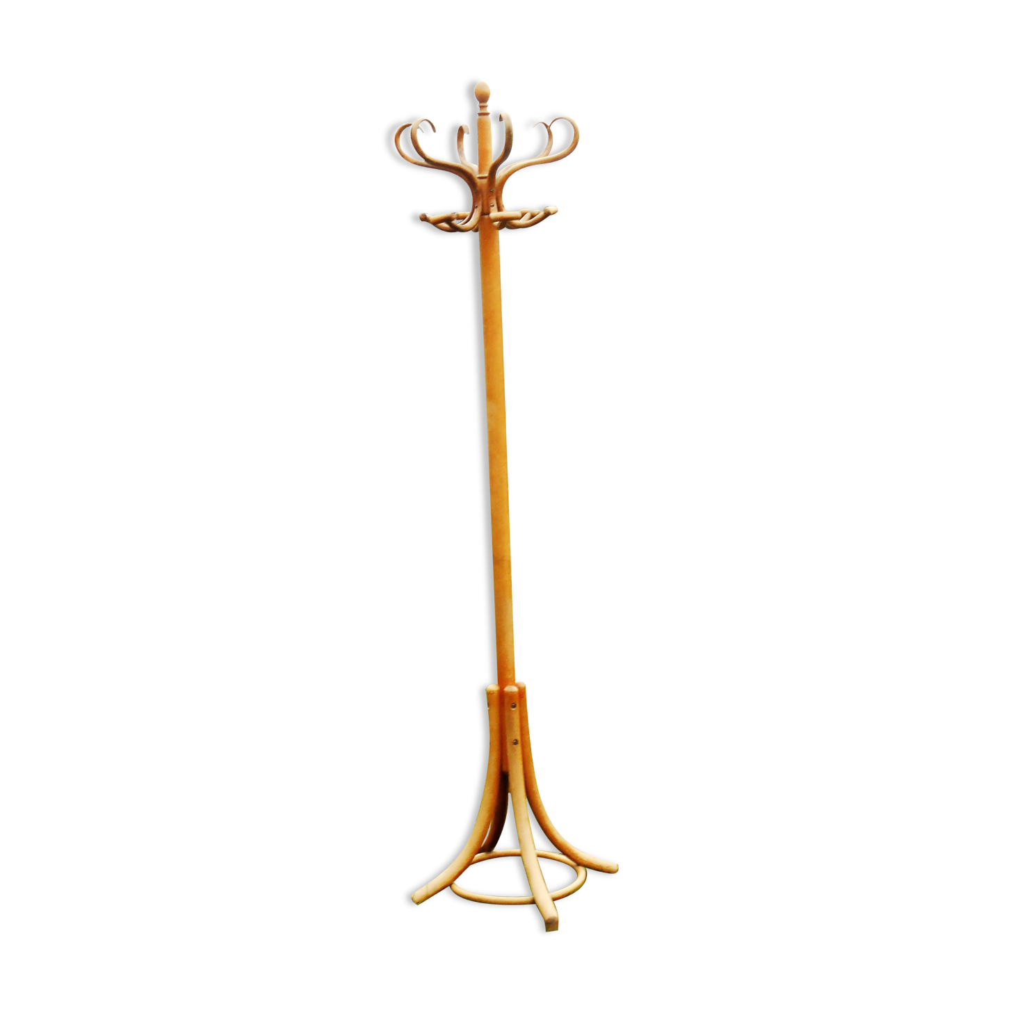 Old parrot coat rack